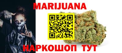 сатива Лесосибирск