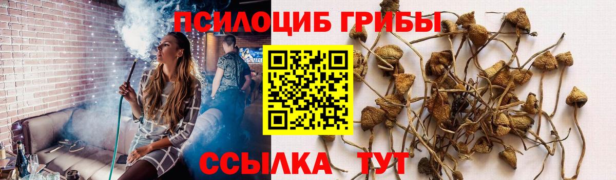 купить наркоту  Вход с VPN  Ижевск  Галлюциногенные грибы Psilocybine cubensis  Псилоцибиновые грибы Magic Shrooms 